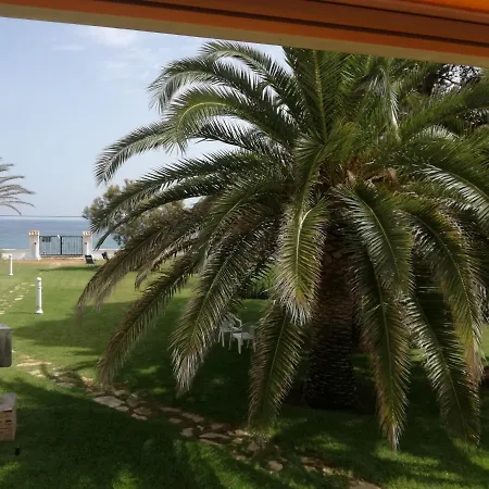 Haizea En * Dénia